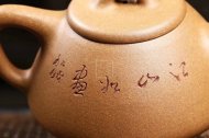 《石瓢》宜興段泥紫砂壺全手工茶壺助理工藝美術師老師石瓢